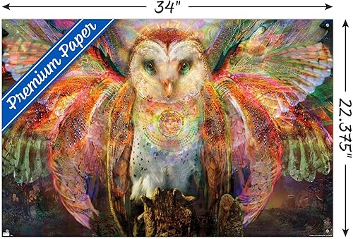 Miniatura 3 de Trends International Jumbie - Owl Wall Poster, 22.37" x 34.00", Premium Poster & Push Pin Bundle