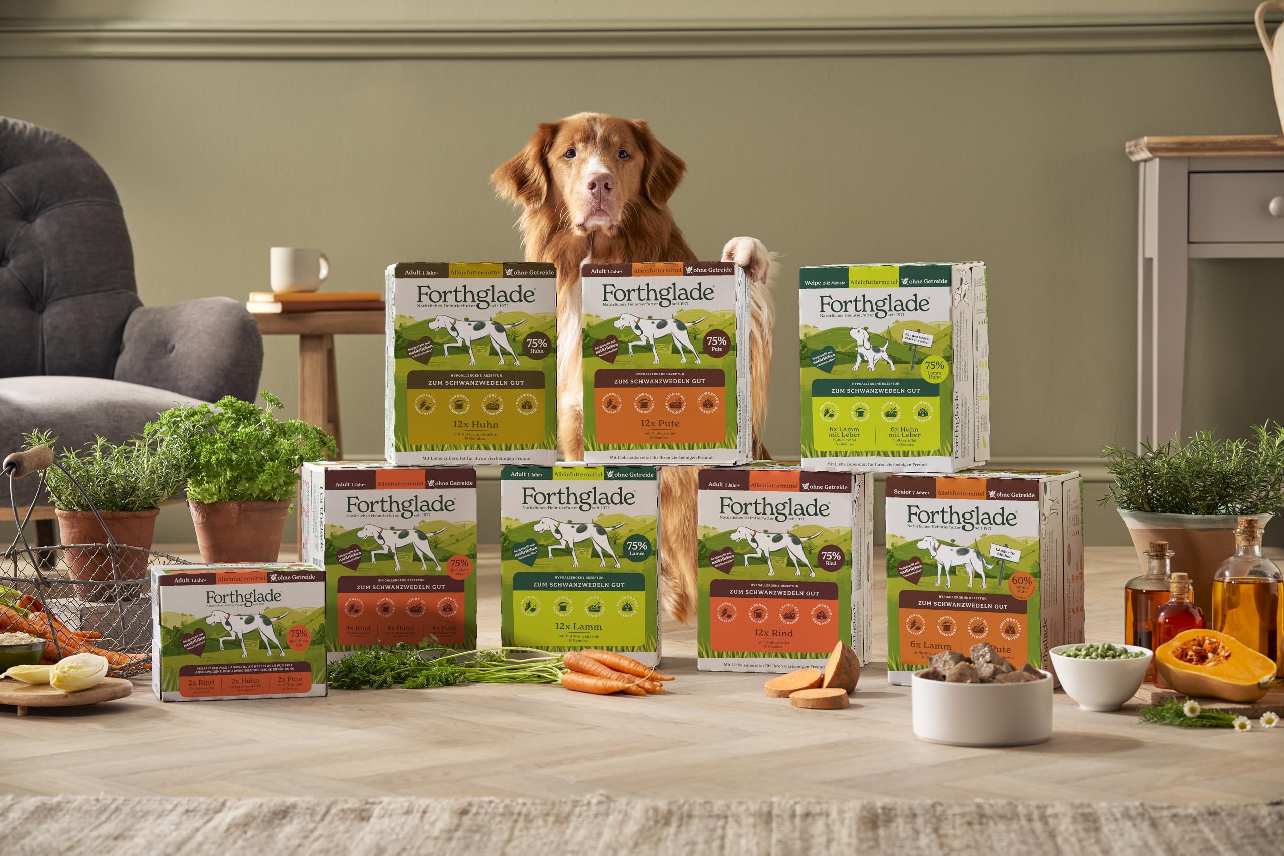 IAMS Advanced Nutrition Graanvrij met kip Kattenvoer Aantrekkelijke