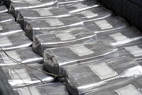 Miniatura 3 de Sustrato de hongos a granel (3 libras)  Pasteurizado  Bolsa de cultivo de doble filtro de 0.5 micrones  Coco Coir, vermiculita, yeso (CVG)