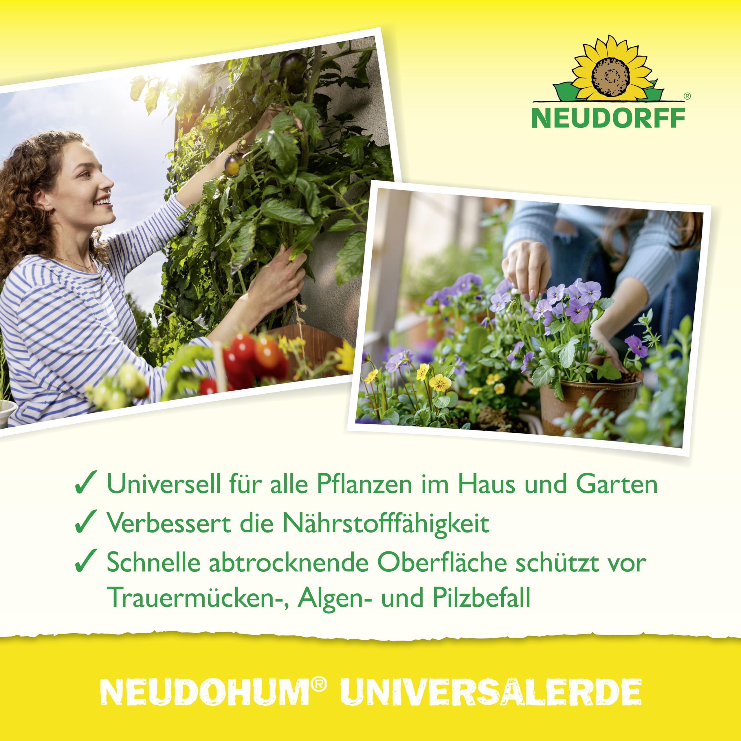 Neudorff NeudoHum UniversalErde 75L Erde torffrei für Balkonpflanzen - Bio Gemüseerde für Balkonpflanzen und Zimmerpflanzen - für bis zu 4 Wochen vorgedüngt