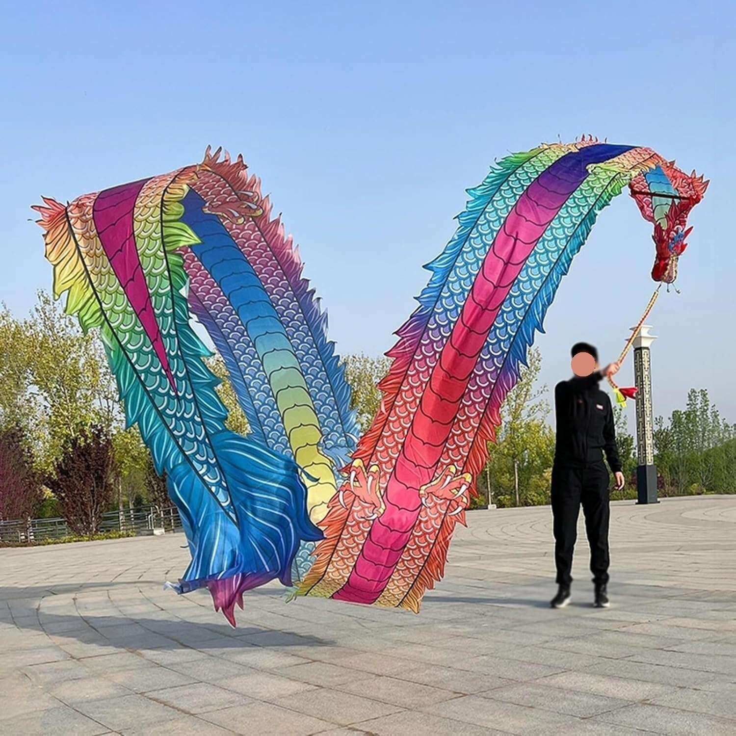 Serpentina de cinta Dragon Dance con cabeza desmontable