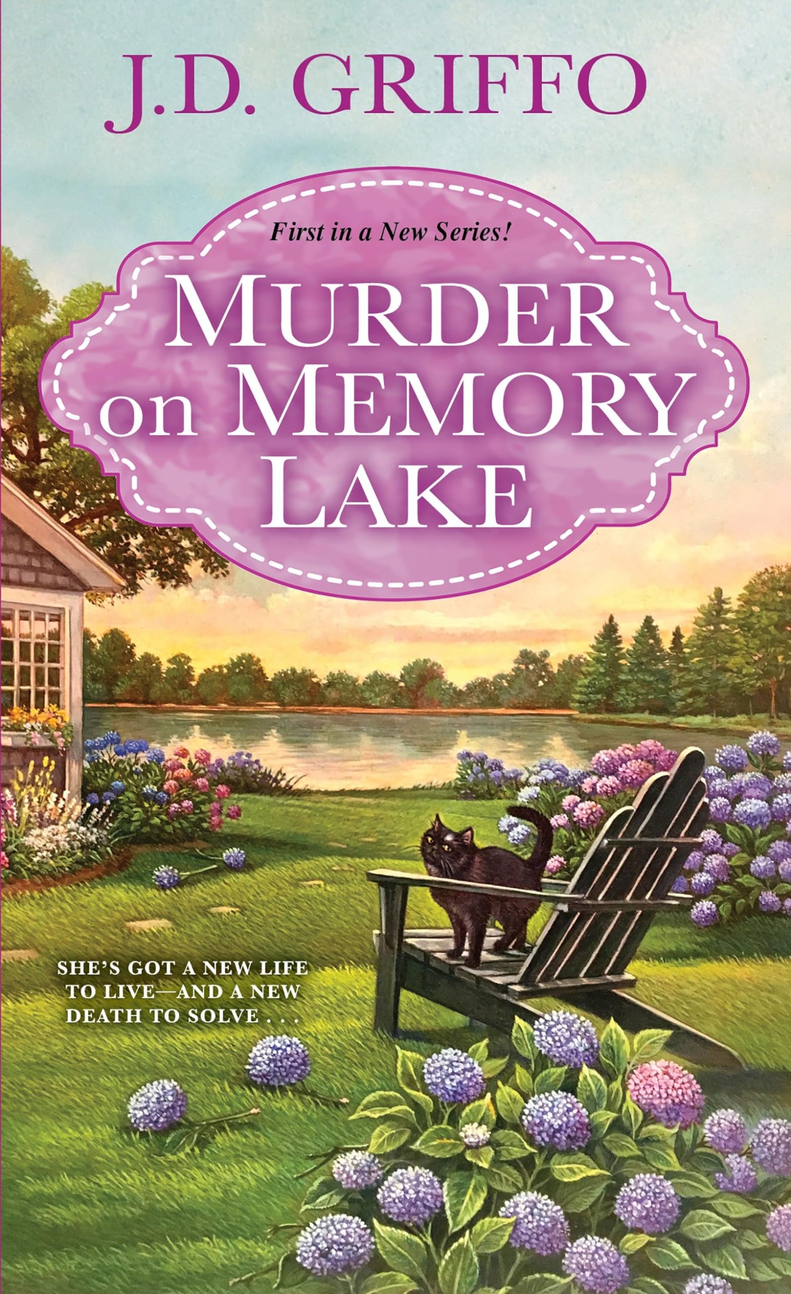 Buy Murder on Memory Lake — BookShops.in