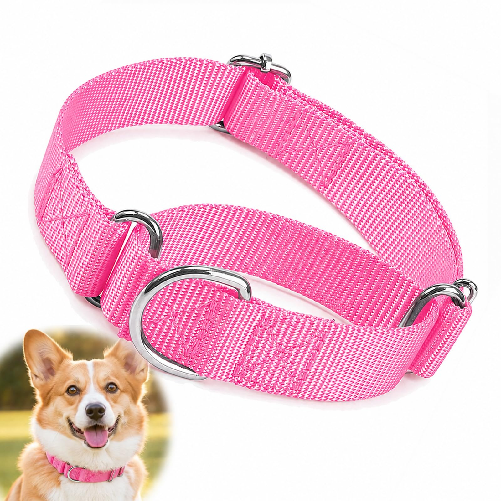 Pink Choke Collar for Medium Dogs, Abrasion-Resistant Nylon, Lightweight D-Ring, Secure Fit for Daily Walks and Outdoor Activities, Comfortable Custom Fit, Fade-Resistant, 10-19 Inch Neck — image 1