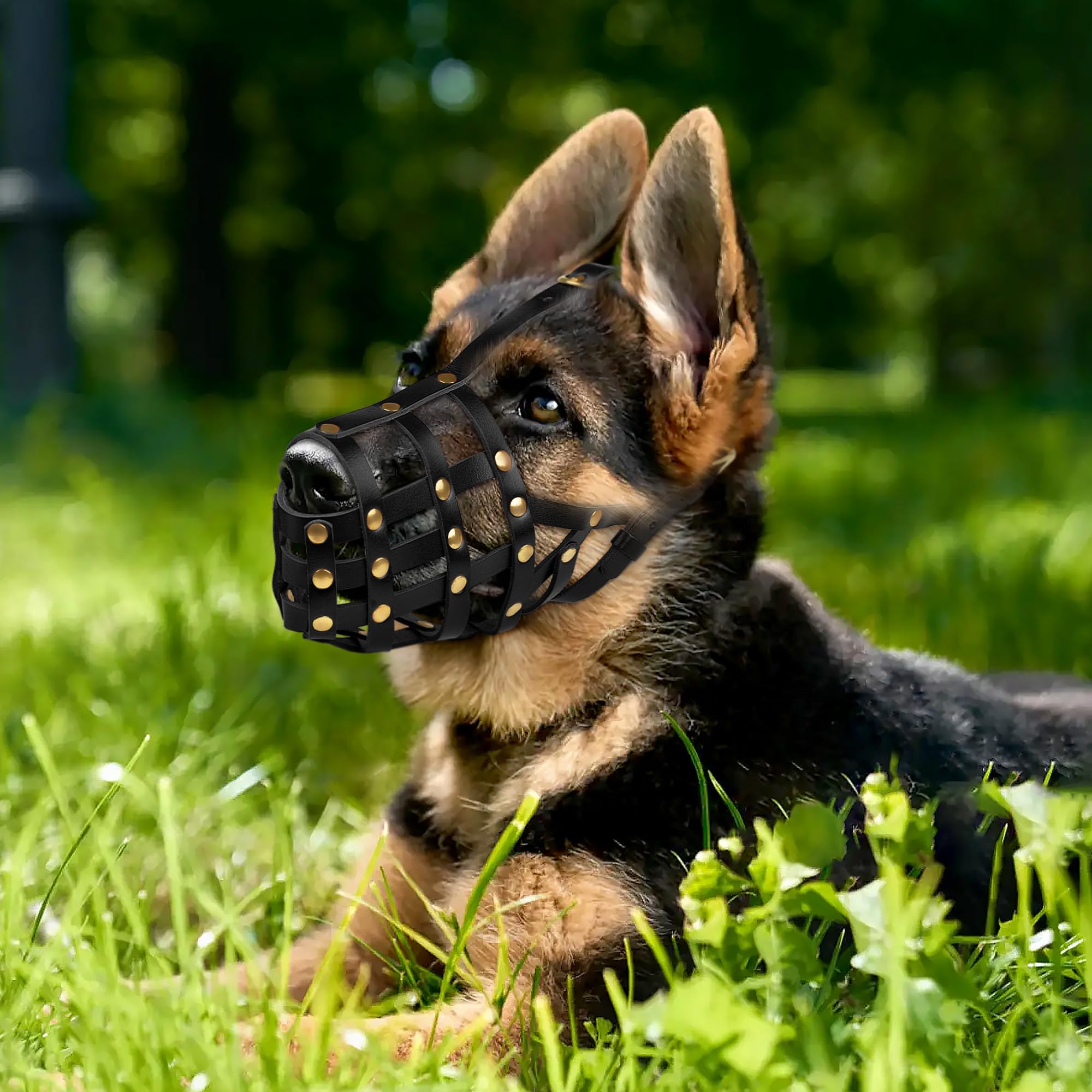 OOPSDOGGY Doberman - Bozal para perros grandes, bozal de cuero transpirable seguro para razas grandes, pastor alemán husky, evita mordeduras, no mastica, ajustable (negro)
