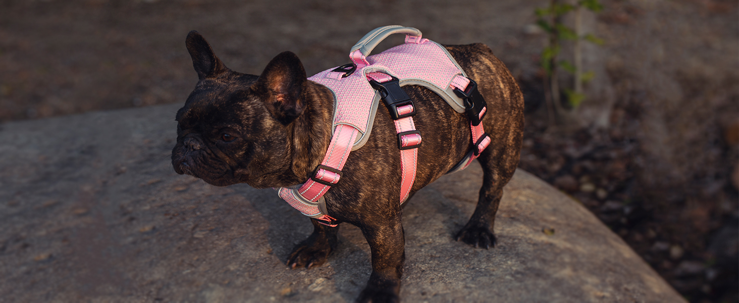 Pettorina Per Cani No Escape - Riflettente, Regolabile, Per Cani Di Grossa Taglia - Foto 3