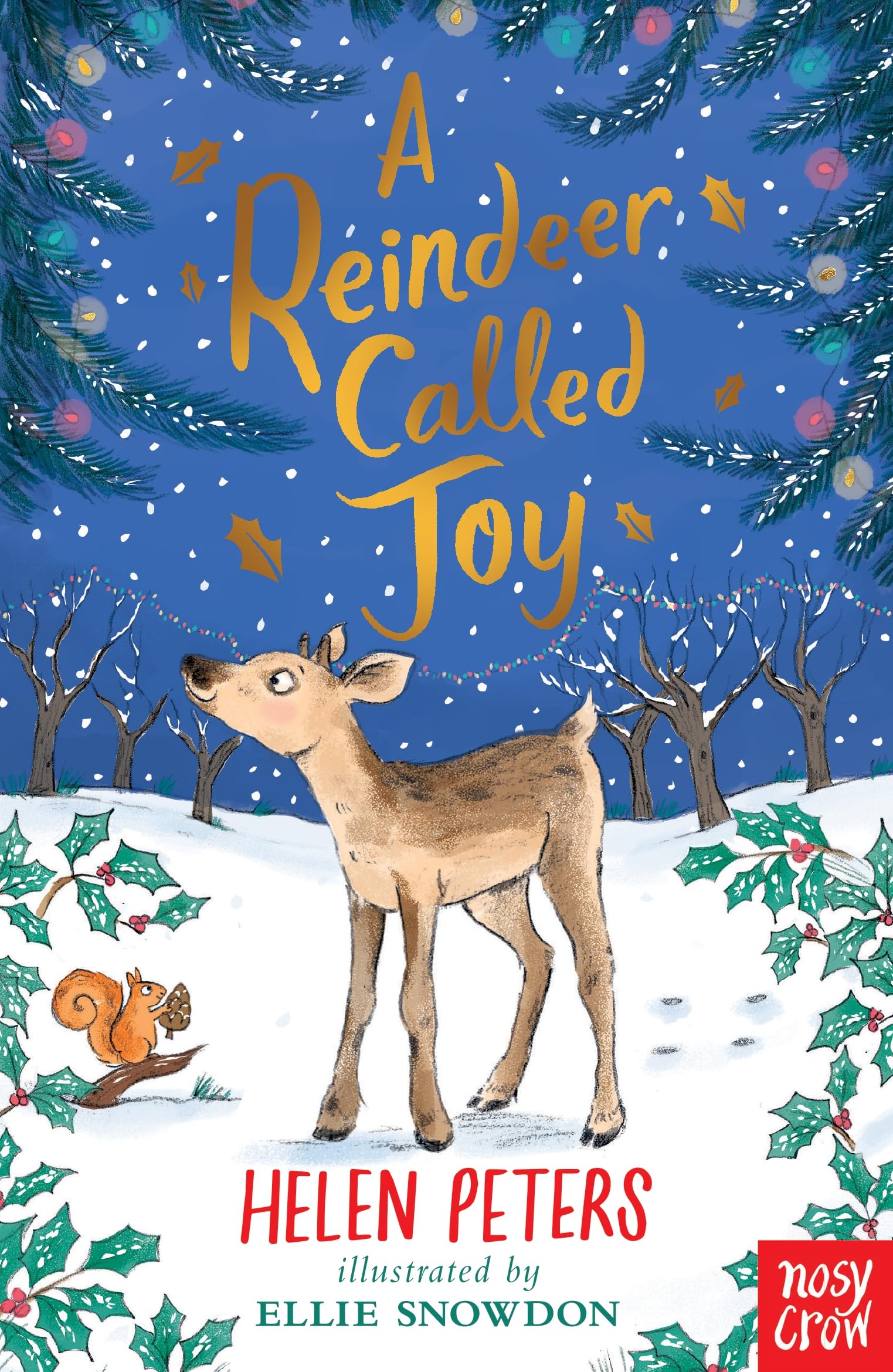 A Reindeer Called Joy by Helen Peters PAPERBACK 9781839948749