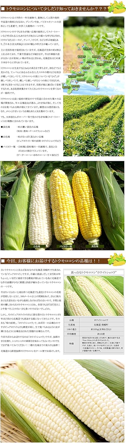 Amazon Co Jp 北海道産 朝採り とうもろこし 選べる10本セット ゴールドラッシュ5本 ホワイトショコラ5本 とうきび ギフト 北海道 お取り寄せグルメ 食品 飲料 お酒
