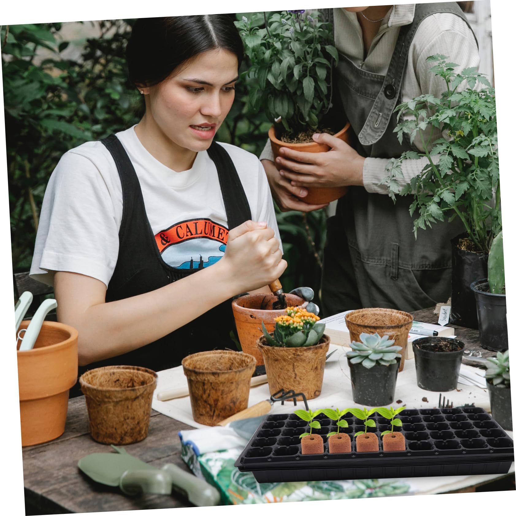 500stücke Soilless Cultivation Nutrient Blocks Torffreie Pflanzsubstrate Für Gemüse Und Blumen Für Anzucht Und Balkon Hochwertige Nährstoffreiche Blumenerde Ohne Erde