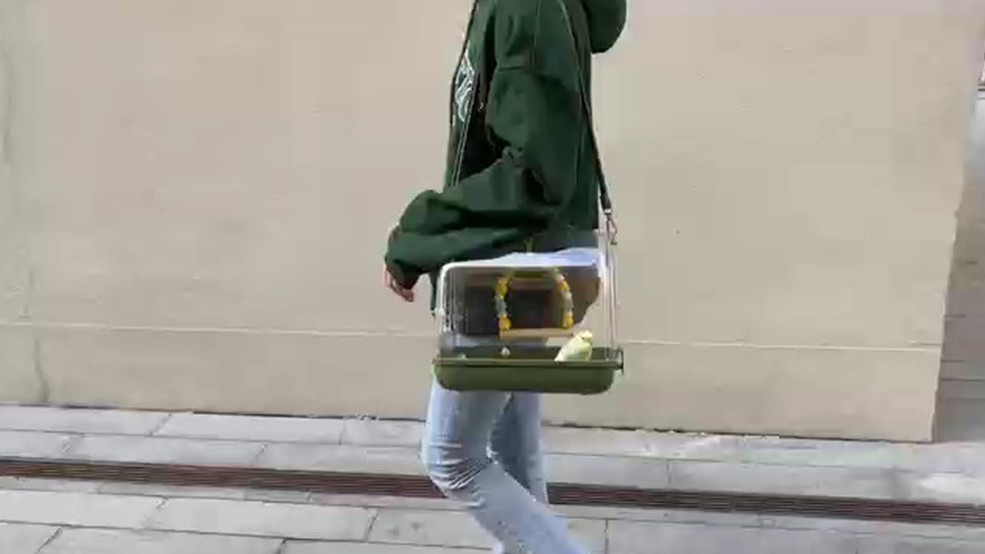 透明アクリル バードキャリー 26cm x 20cm x 21cm