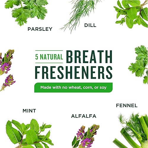 Miniatura 4 de Minties Masticables dentales para perros, 120 unidades, recomendados por veterinarios, golosinas dentales con sabor a menta para perros