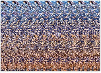 Set of Six Stereogram Posters