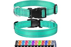 FunTags Reflective Dog Collar: Turquoise Nylon Collar for Small Dogs