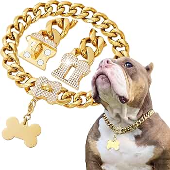 小物 DOUBLE MINI PITBULL CHAIN ( Order) 81spVph8XzL._UF350,350_QL50_.jpg
