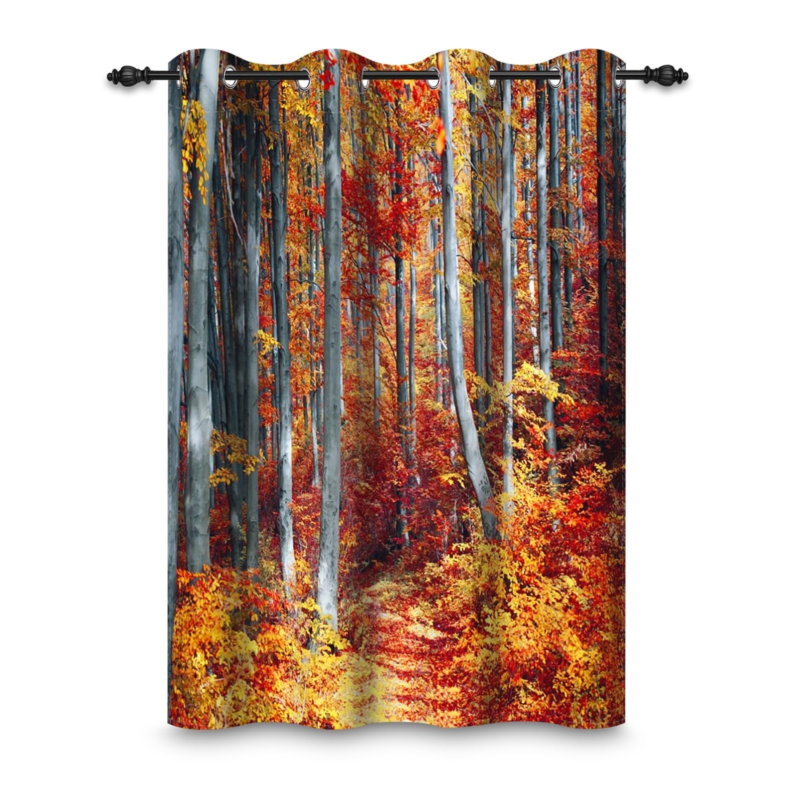ggaimwf 42"x 63" Forest Eyelet Curtain Red Yellow Maple Leaves Natural Scenery Picturesque Landscape Thermal Grommet Room Dividers Blackout Window Drapes for Bedroom Living Room,1-Single Panel
