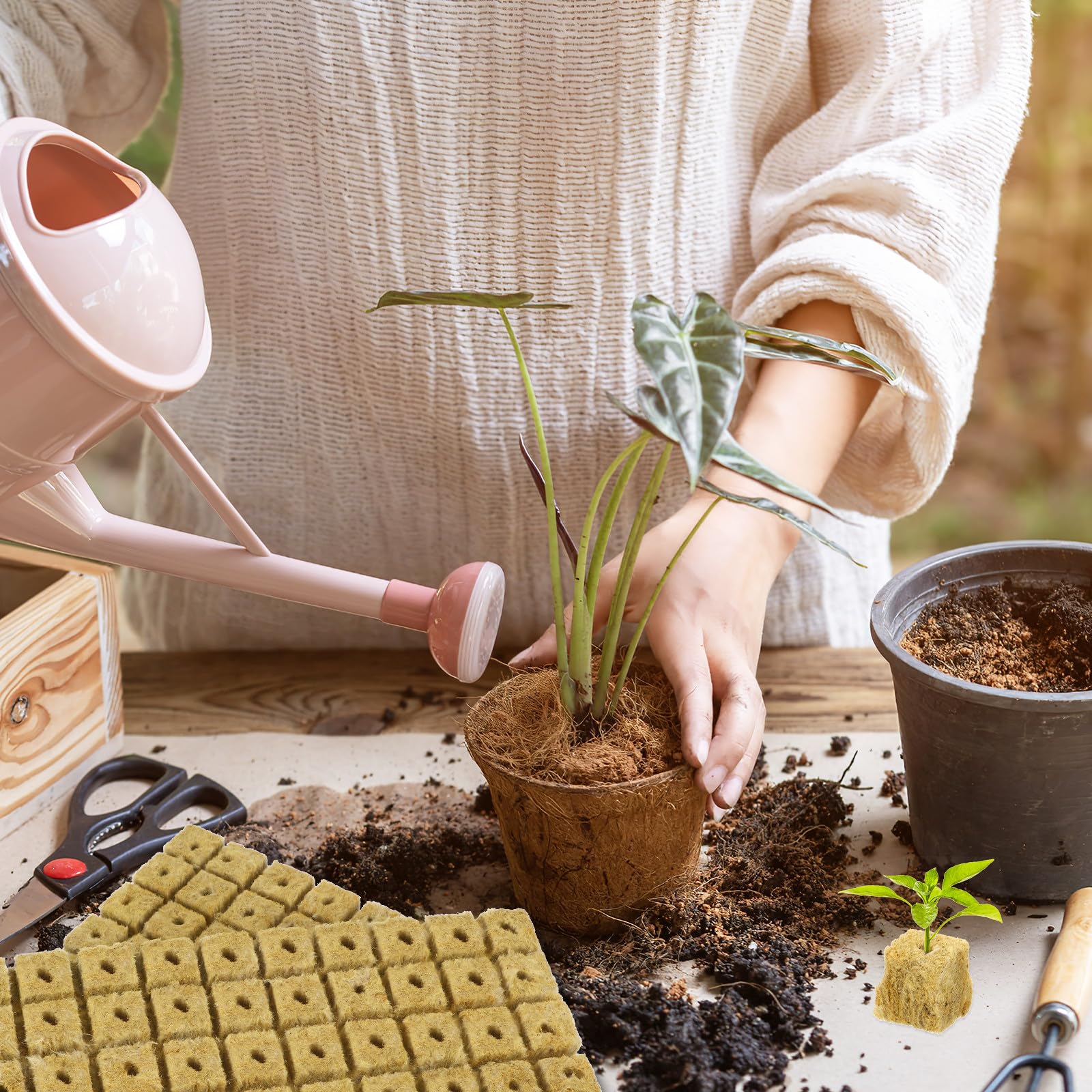 Artibetter Cubetti la Germinazione di Piante 100 Pezzi Fibra, Alta Assorbenza d'Acqua e Buona permeabilità all'Aria, per Semina e Talee