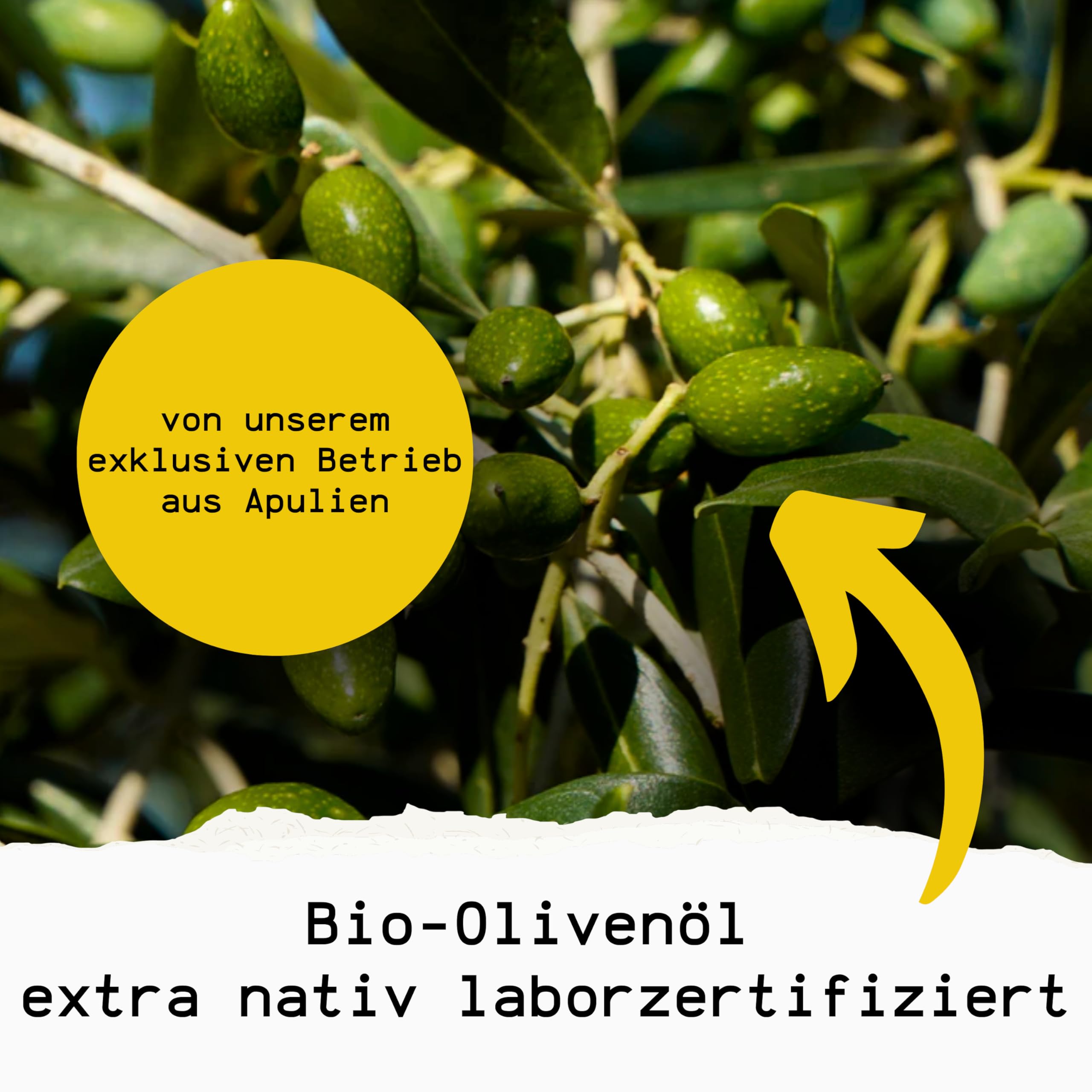 Bio Gesichtsöl & Mineralische Sonnencreme SPF 30 Bundle I TESTSIEGER* I Dermatologisch Getestet I 100% Bio-Kosmetik I Anti Aging I Breitbandschutz UVA & UVB I Ohne Chemie
