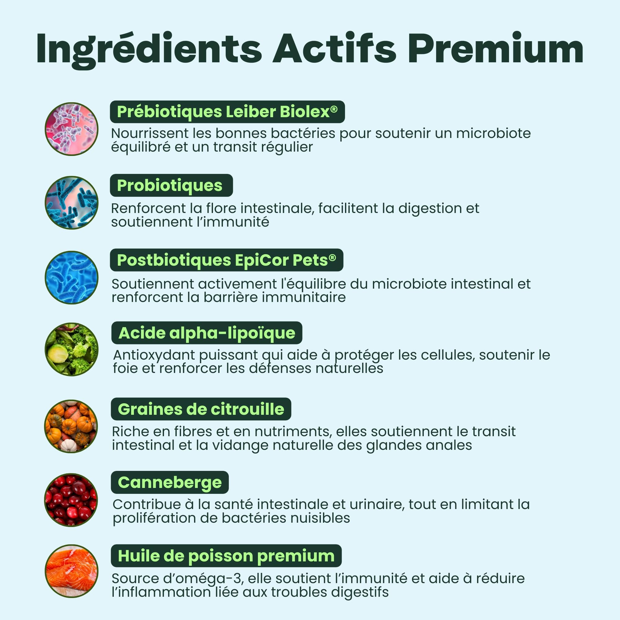 BESTI - Digestion | 120 Compléments Alimentaires Premium pour Chiens | Probiotiques, Prébiotiques, Postbiotiques | Flore Intestinale | Marque Française - Formule Vétérinaire | Au Poulet | 300 GR