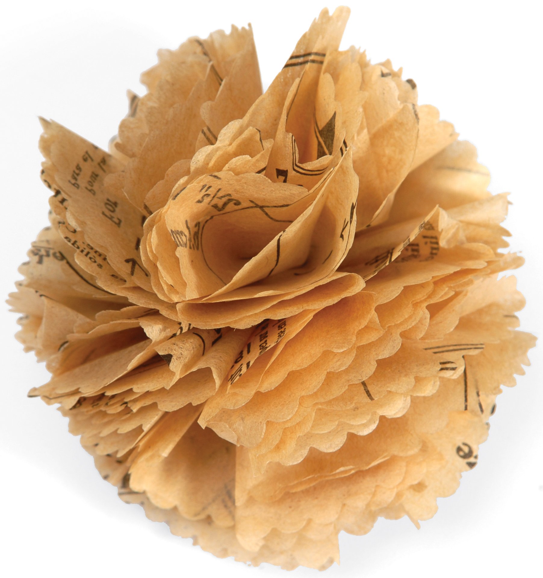 Amazon | Sizzix 植物 花3D フラワー3D 2 657118 【日本正規品】 | 布