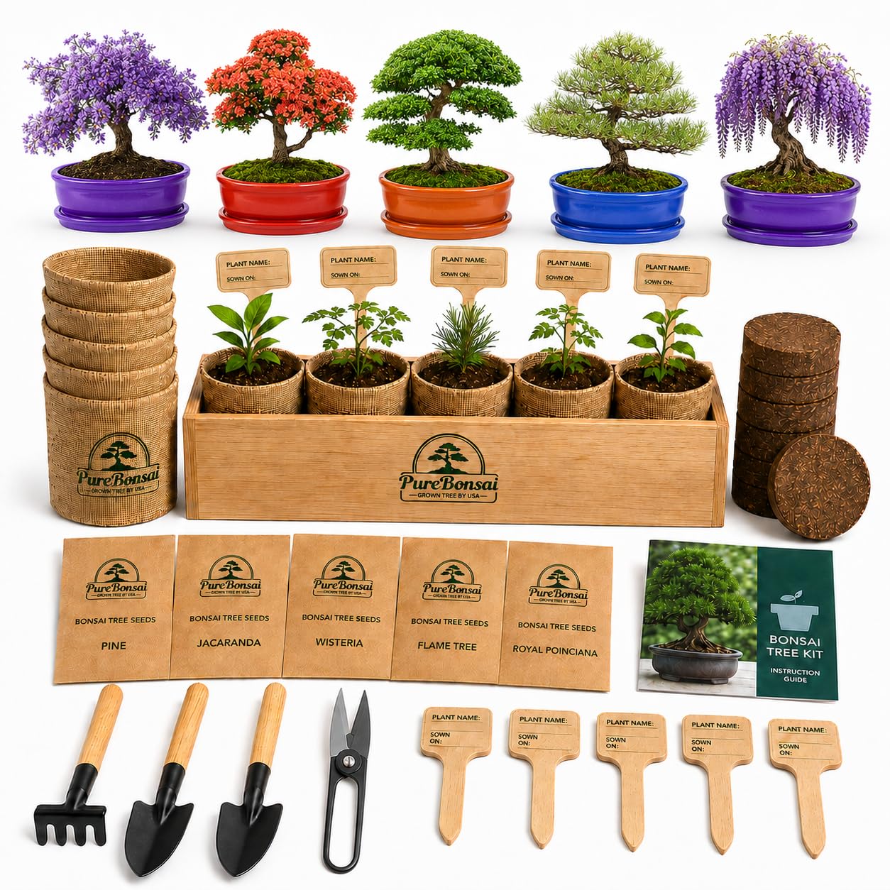 PureBonsai 5-Species Starter Kit