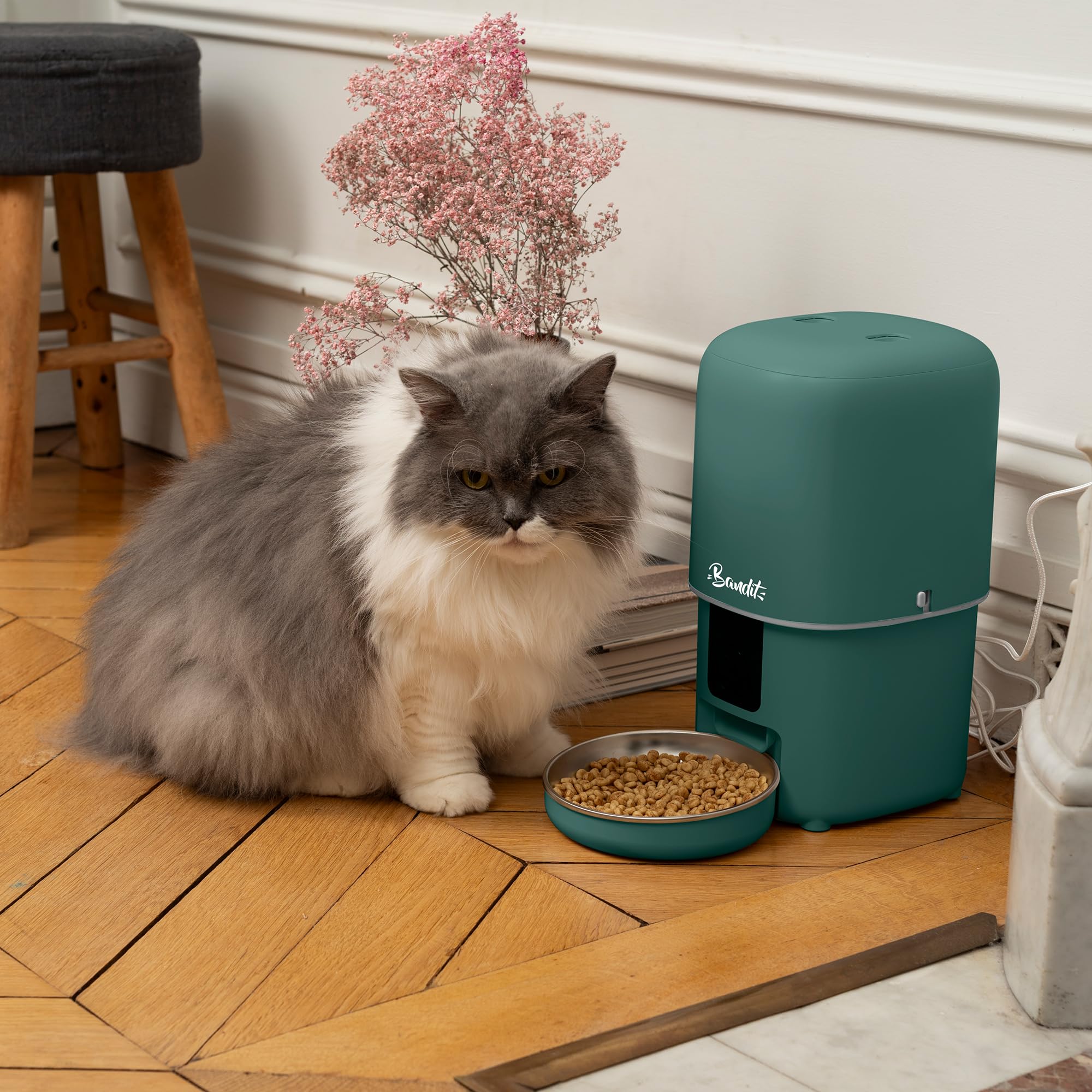 Banddit – Dispensador de croquetas inteligente verde – Seguimiento dietético para gatos y perros pequeños – Programación hasta 15 comidas – Cámara HD & Micro – Depósito hermético 4L | Cámara HD y Micro - Seguimiento Dietético - Para gatos y perros pequeño