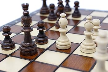 Amazon | ChessJapan チェス プレミアム・マグネティック 28cm