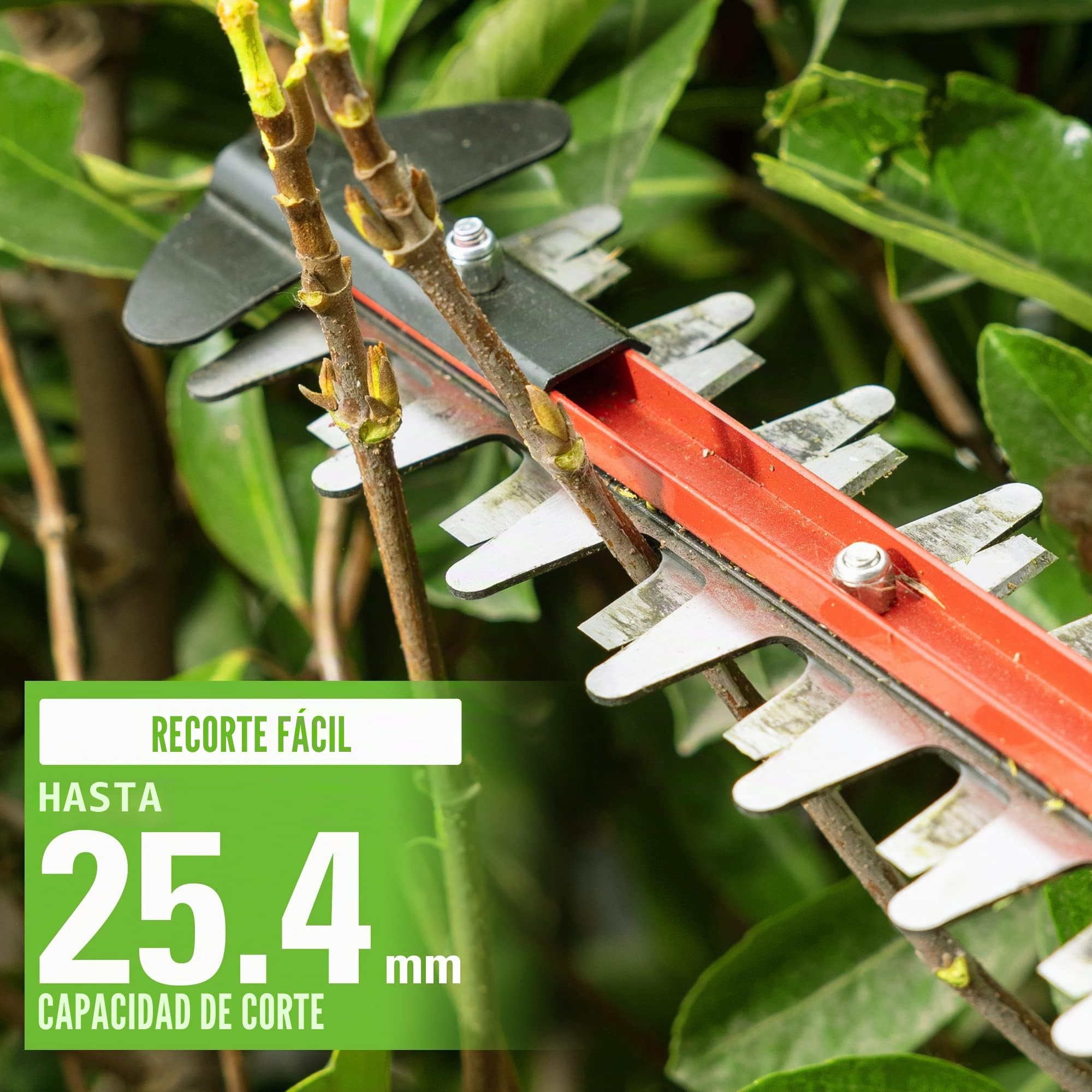 Greenworks Cortasetos inalámbrico 24V G24HT56, Cuchilla de Doble acción de 56cm, Corta Ramas y Tallos de hasta 25,4mm de Grosor y 3000 SPM con batería de 2Ah & Cargador