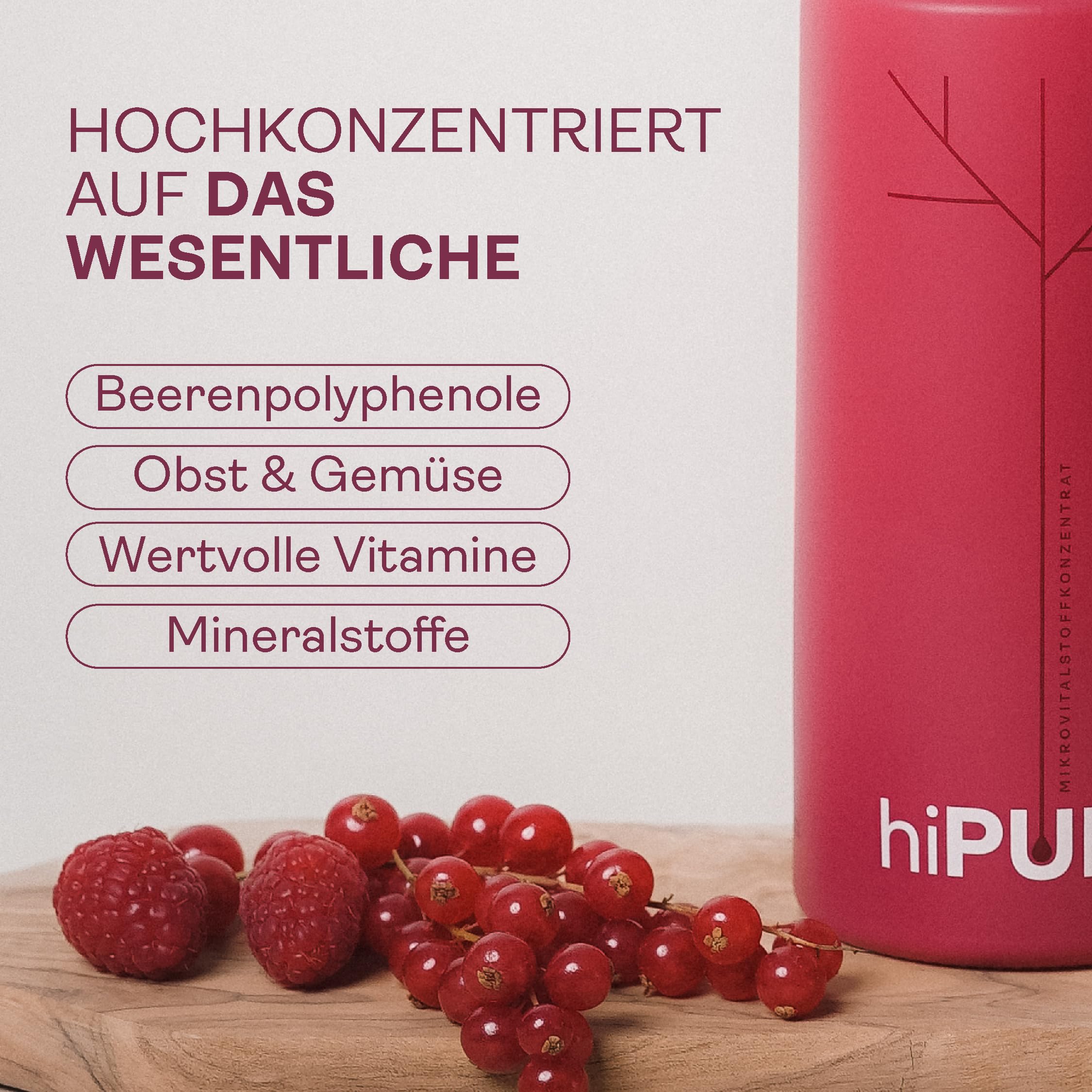 Mikronährstoffkonzentrat 500 ml – Vitamine, Mineralstoffe, Spurenelemente & Antioxidantien aus heimischen Beeren & Früchten für Energie, Haut & Immunsystem – für die ganze Familie