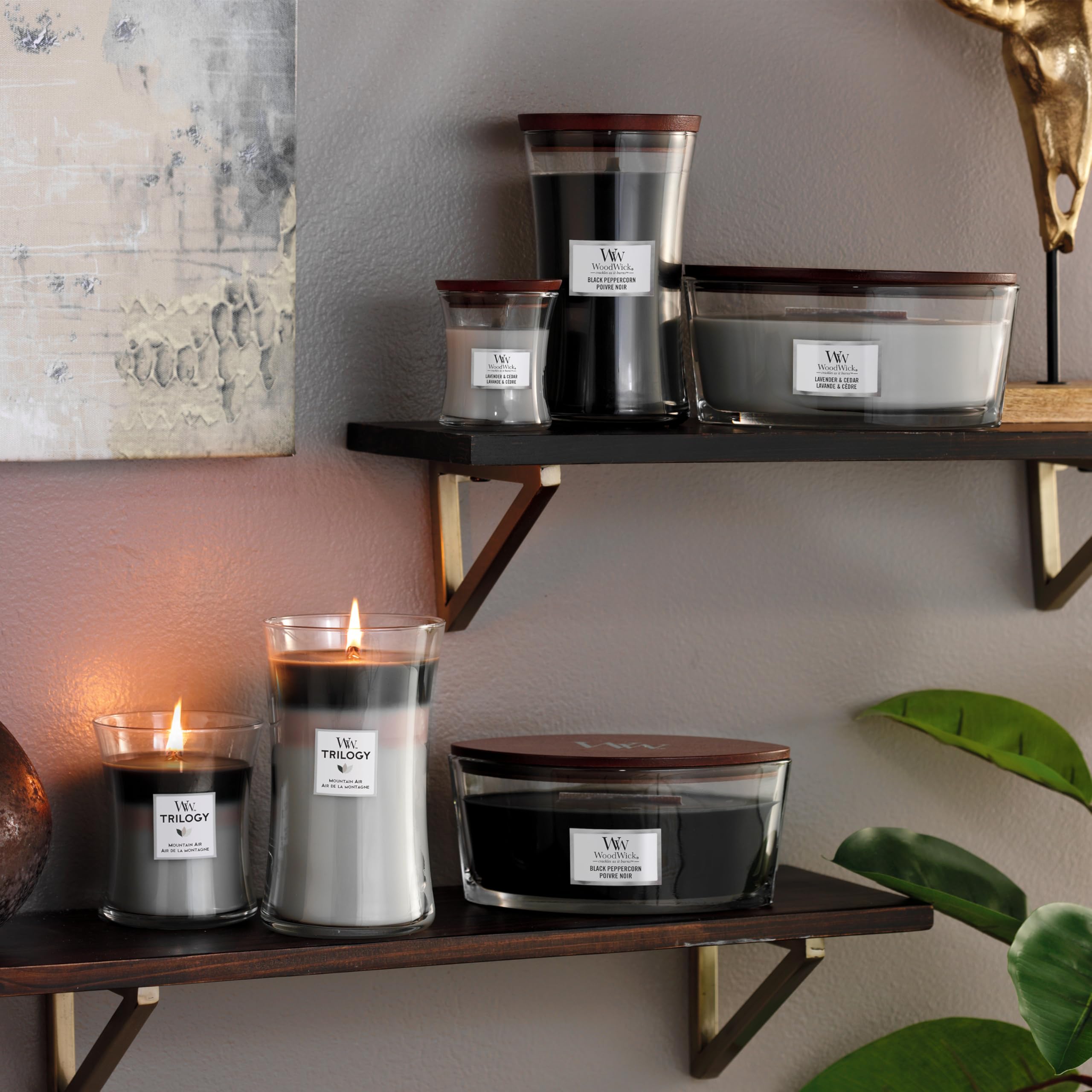 Woodwick geurkaarsen Cinnamon Chai