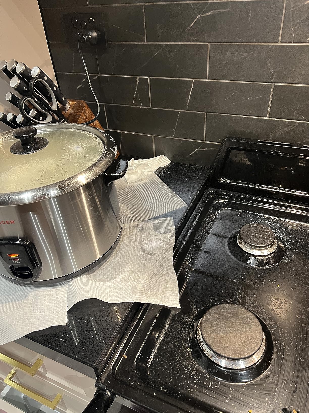 Singer Rice Cooker, 15 Cup/2.5 Litres Capacity: Rice Cookers: Amazon.com.au