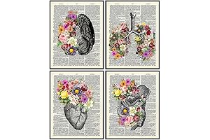 11x14 Human Anatomy Heart Pin: A Unique Gift for Medical Professionals