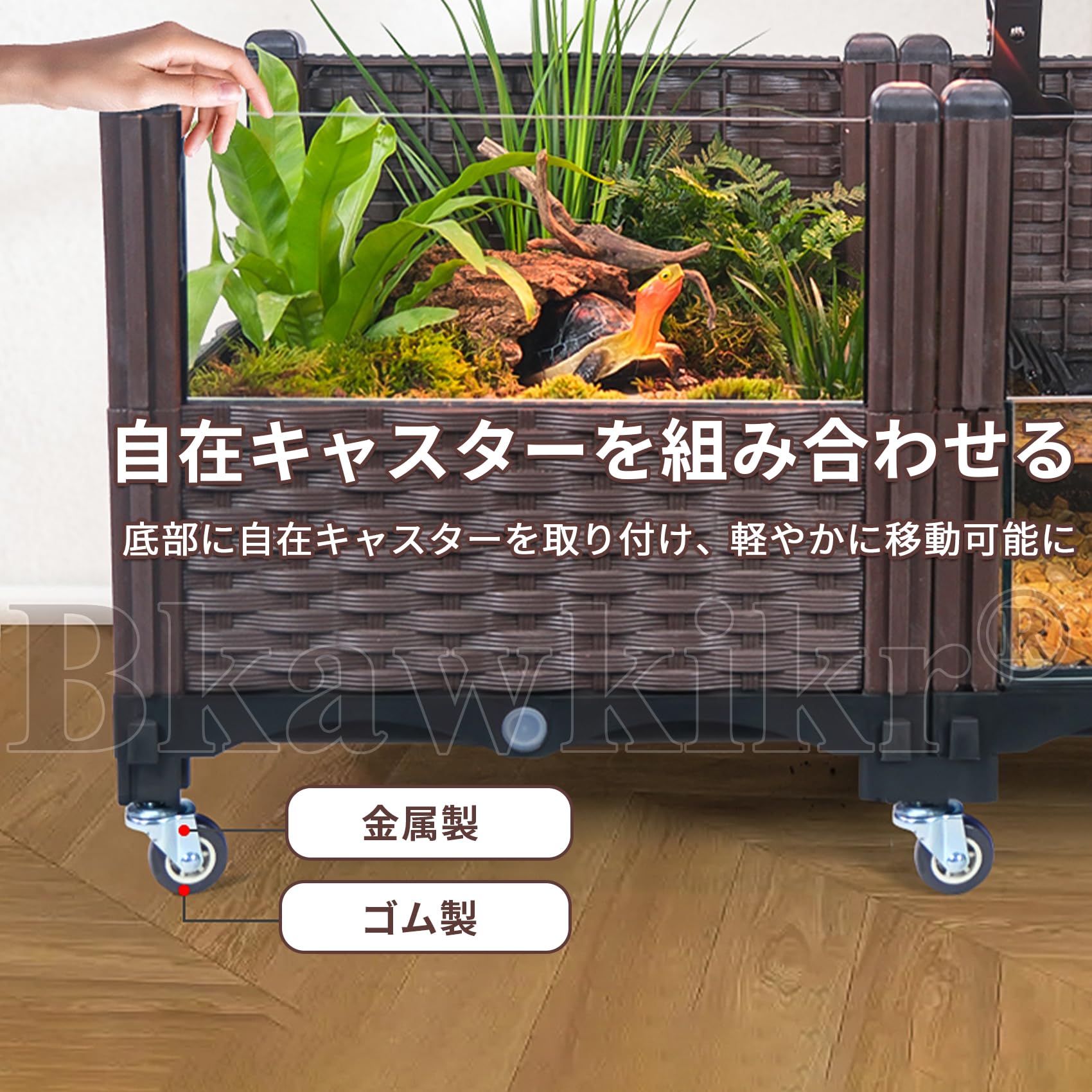 Amazon | 亀 水槽 水槽セット エコ造景亀飼育ケース 自在キャスター