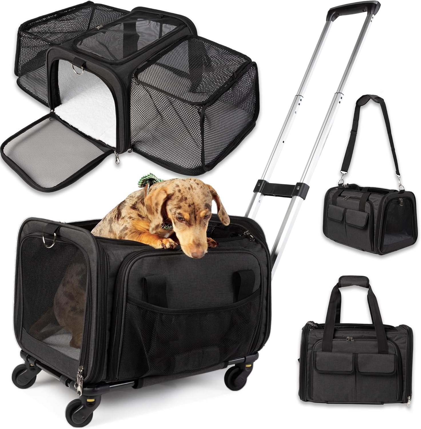 Pet Carrier with Wheels | Delta American Frontier Airline Approved | Two Expandable Sides, Storage Pockets Adjustable Leash | Rolling Dog and Cat Carrier TSA Compliant (Black 17x11x11) Black 17"L x 11"W x 11"H