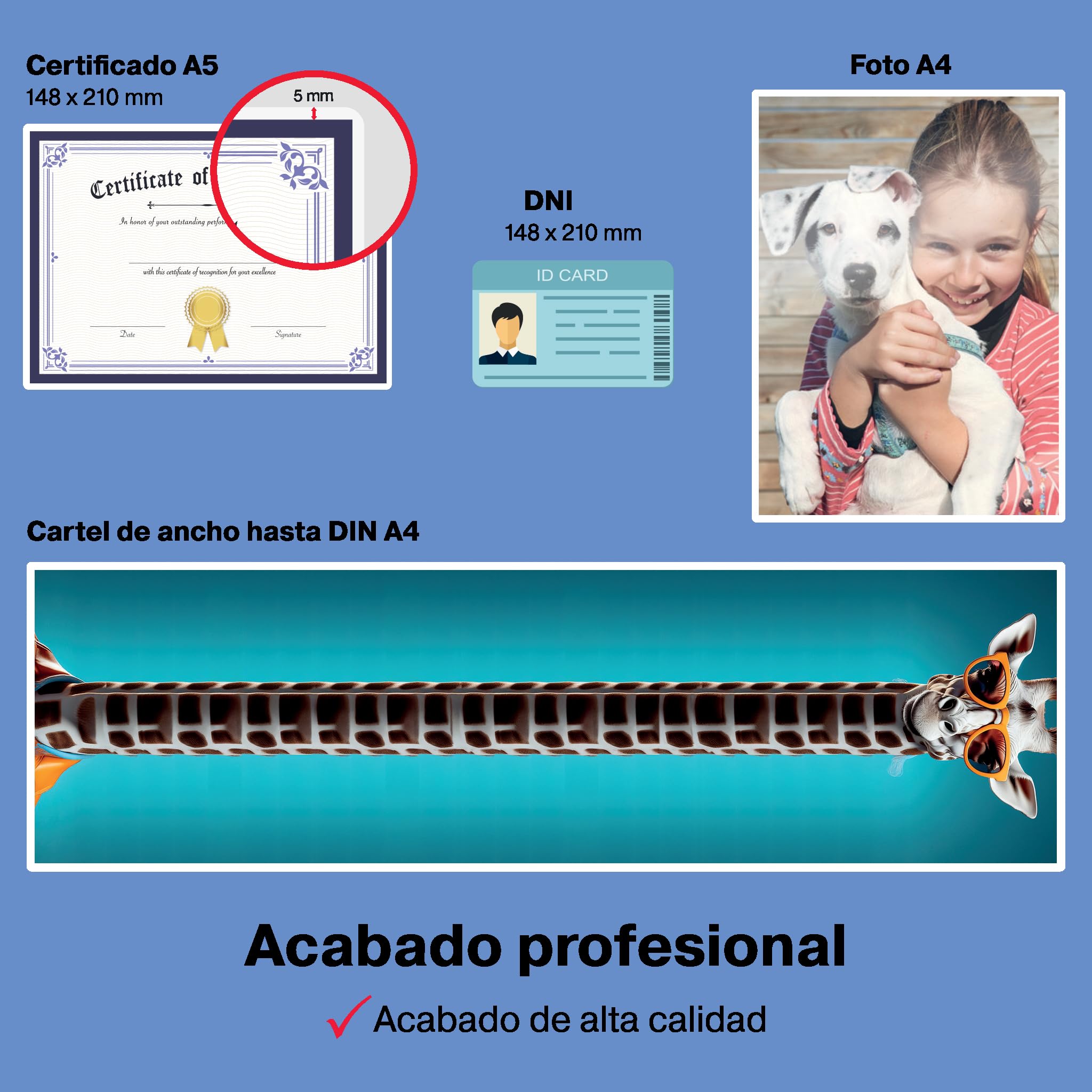 GBC Plastificadora Velocity Automática A4 - Máquina Plastificadora de Escritorio con Alineación y Corte Automático, Calentamiento y Ciclo Rápidos - Incluye Rollo Inicial 80 Micras - 42,5 x 23,5 x 34cm