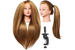 Willinghair Mannequin Head for Hair Stylists
