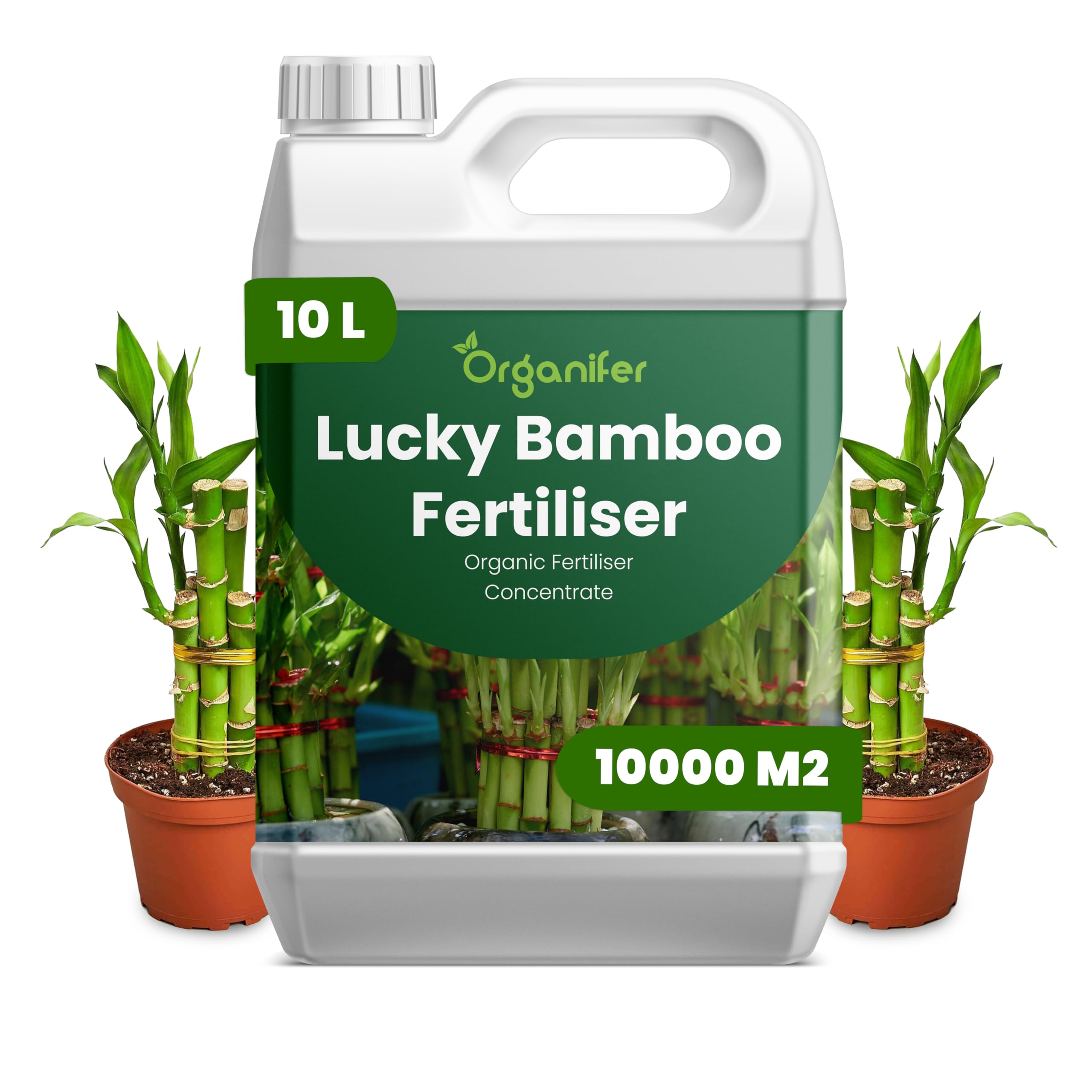 Lucky Bamboo Flüssigdünger - 10L - NPK 2-1-8 | Flüssig-Pflanzendünger Für Große Zimmerpflanzen-Sammlungen Und Innenräume - Organifer