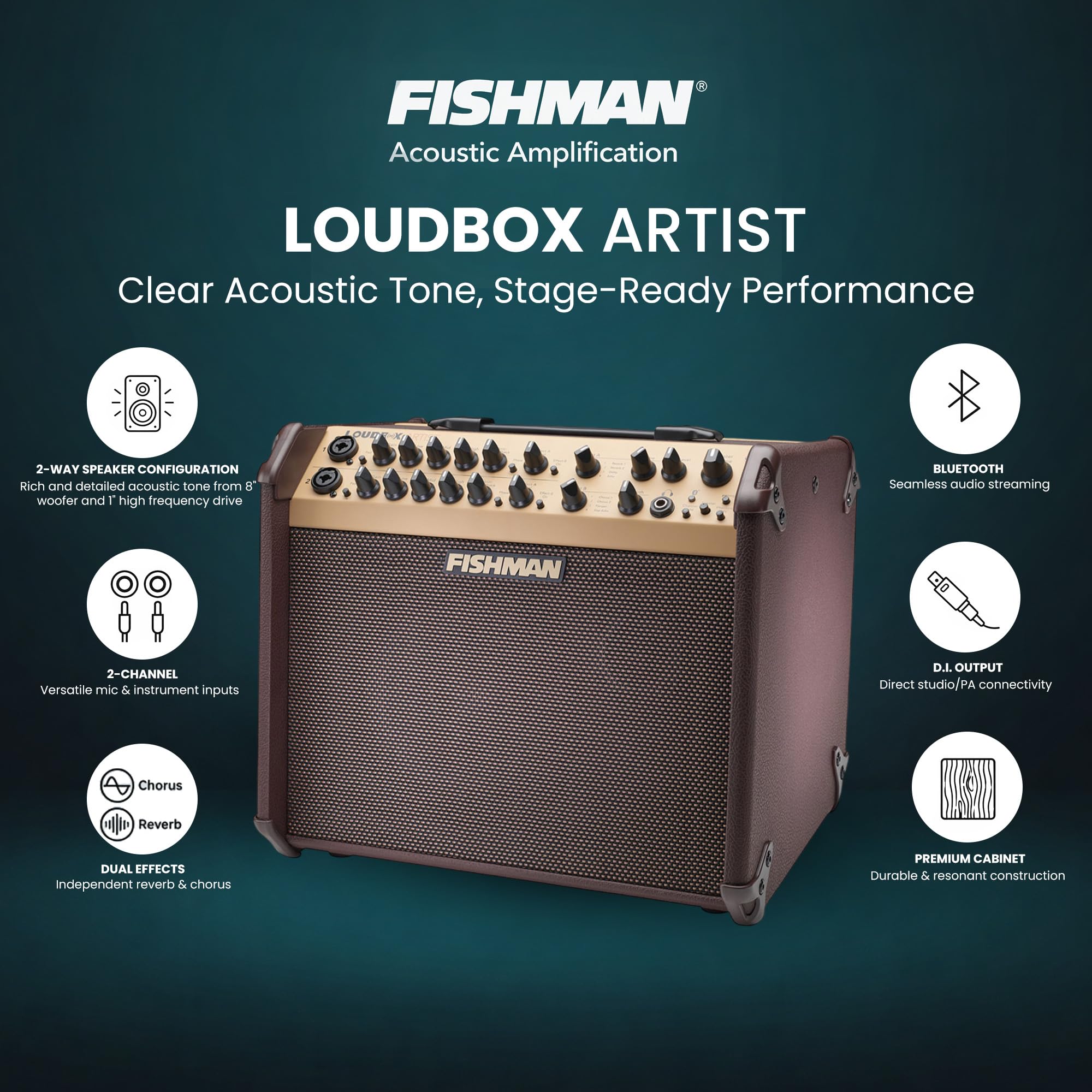 Amazon.com: Fishman Loudbox Artist 120-Watt Acoustic Guitar Combo