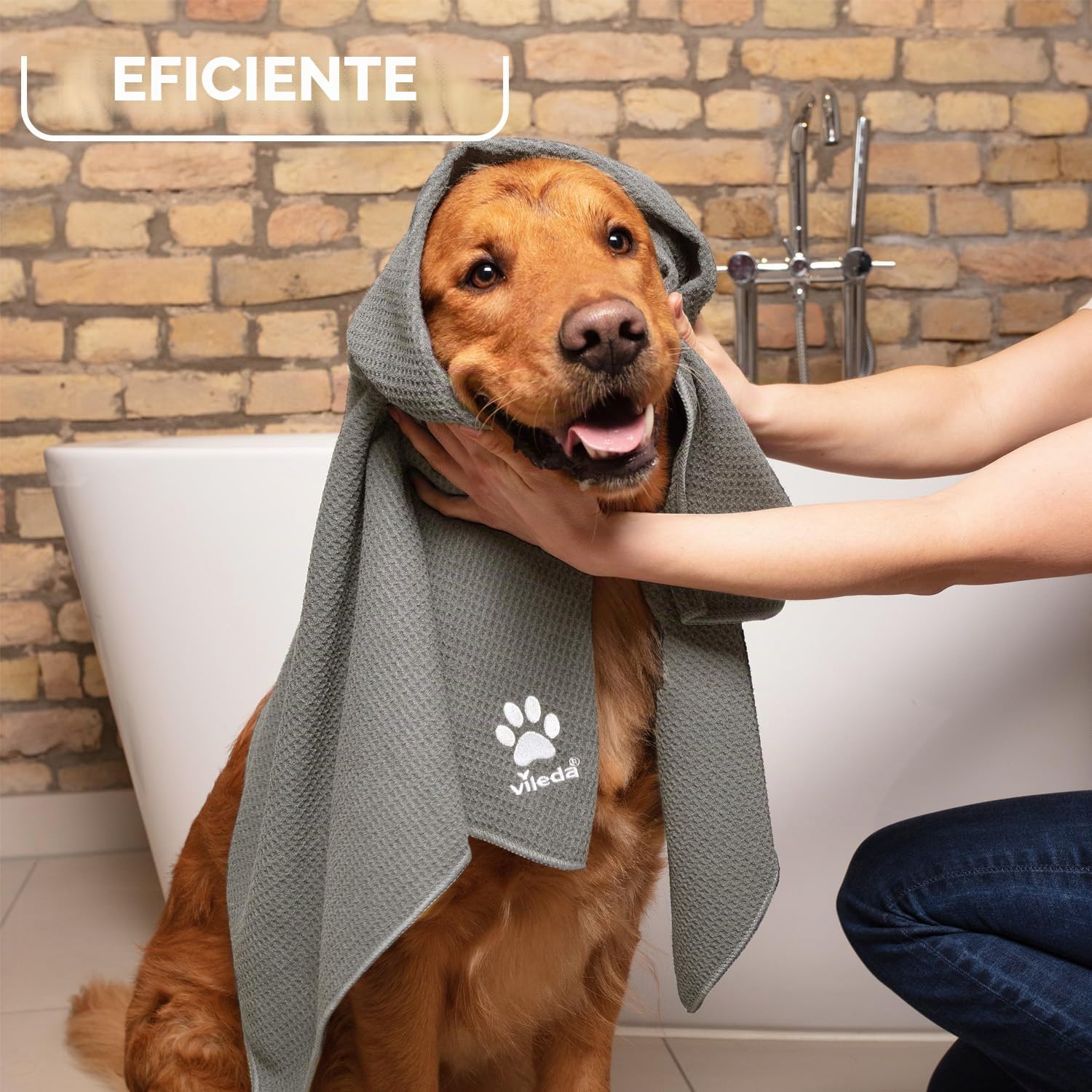 Vileda Pet Pro - Juego completo de escoba Always Clean, cepillo electrostático y toalla de microfibra XL, limpieza de pelo de mascotas, secado para cualquier superficie
