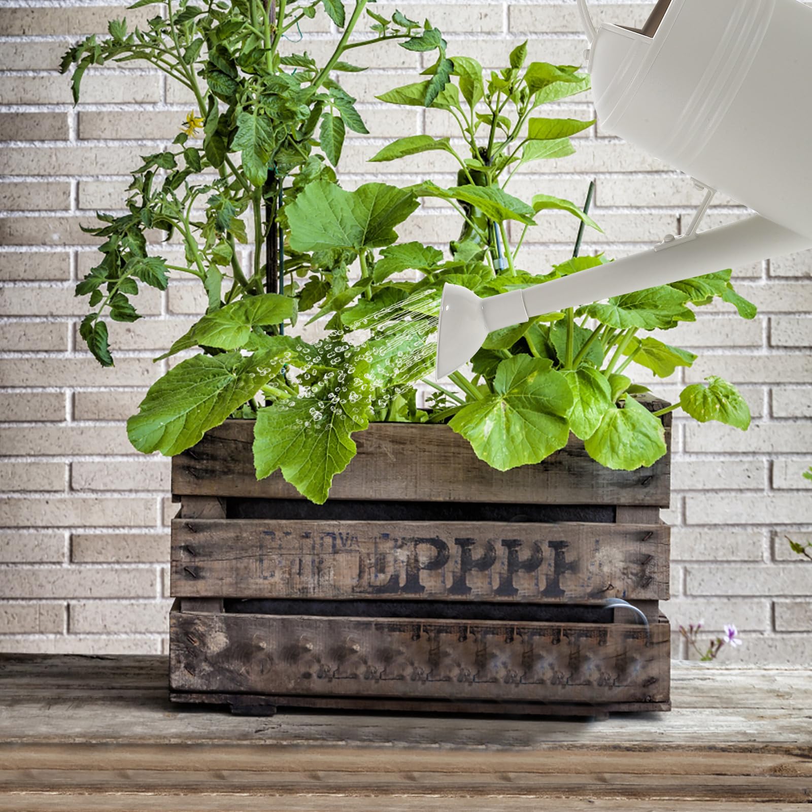 Regadera de Jardín 18L Boquilla Larga Material Acero Inoxidable y Plástico Color Beige Claro para Interior y Exterior Riego de Plantas Suculentas y Flores Capacidad Grande y