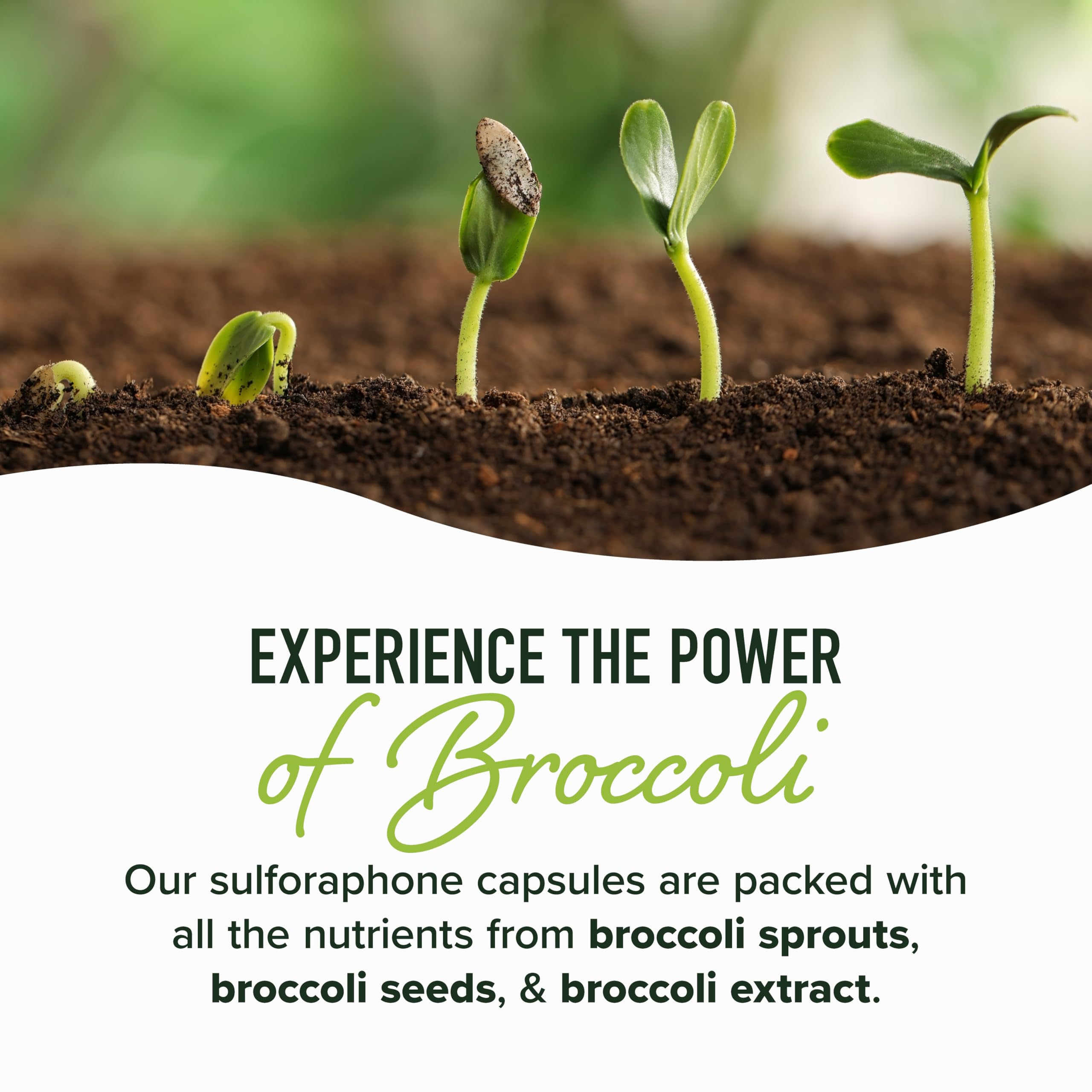 50MG Sulforaphane Supplement from Broccoli Sprouts, Doctor-Formulated — Amazon image 4