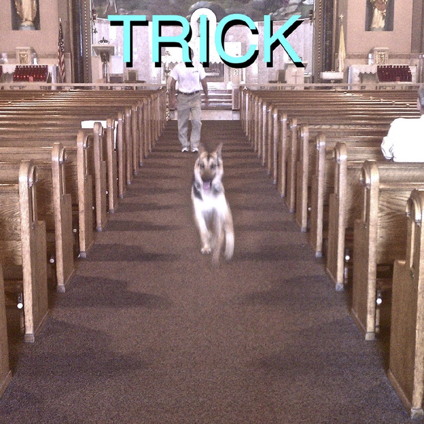 TRICK [VINYL]
