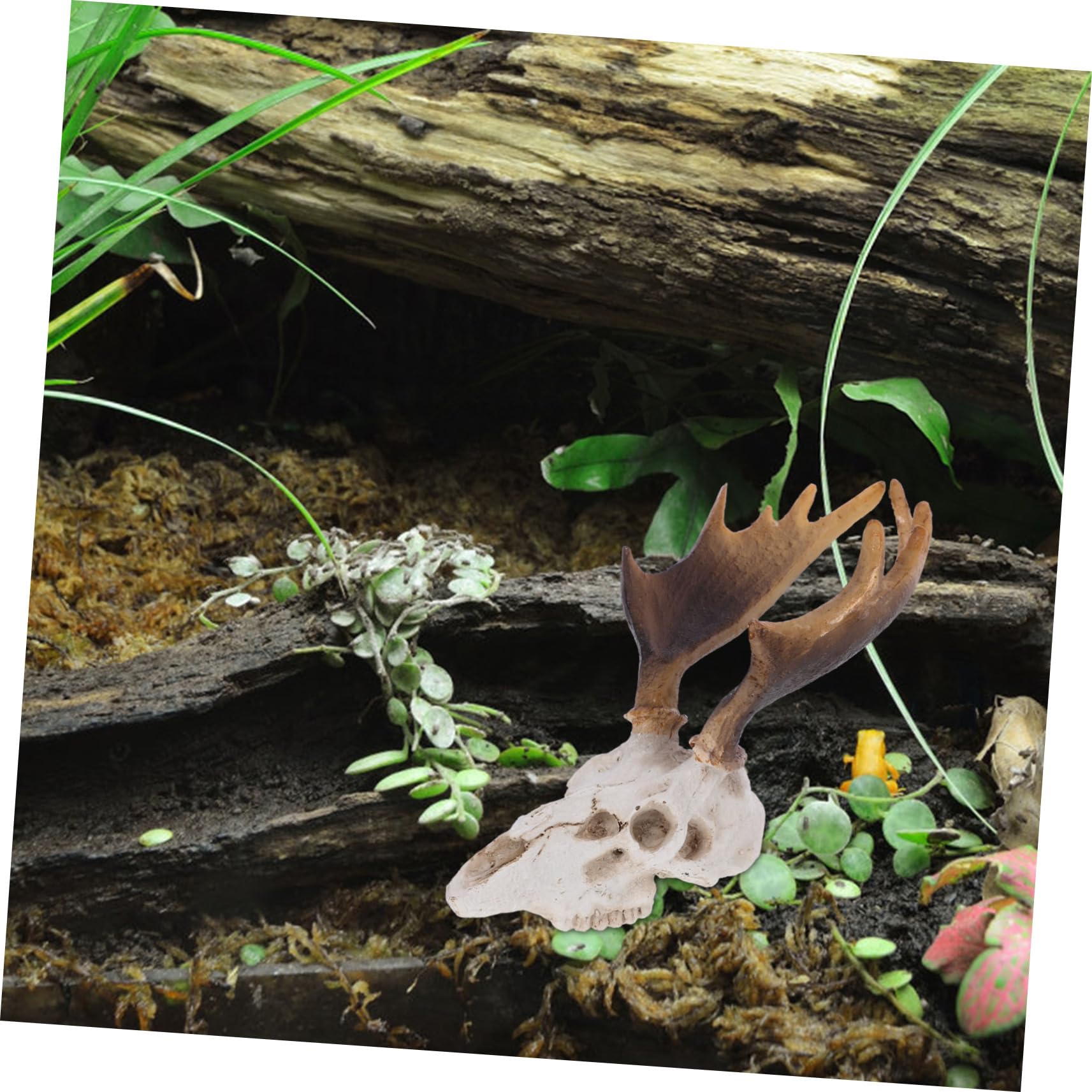 VANZACK 3pezzi Caverna Decorativa Per Rettili Con Design Testa Di Rifugio Per Piccoli Rettili Accessorio Per Terrari e Acquari Atmosfera Artistica Unica