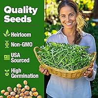 Vista 11 de HOME GROWN Semillas de diente de león para plantar 600 semillas de hierbas medicinales tradicionales (~ 0.01 oz) sin OMG cultivan hojas y flores