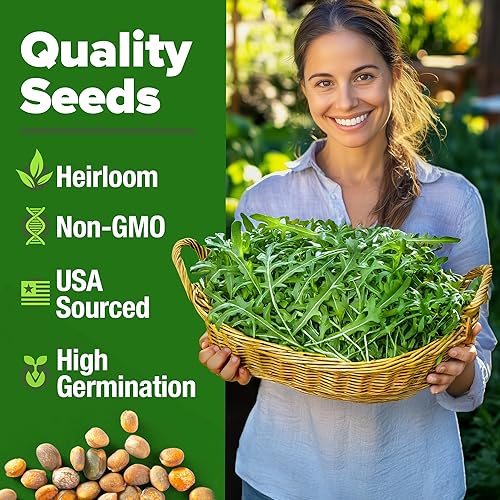 Miniatura 2 de HOME GROWN Paquete de semillas de roqueta de rúcula sin OMG, 2,175 semillas de rúcula tradicionales para plantar, lo mejor para jardines al aire
