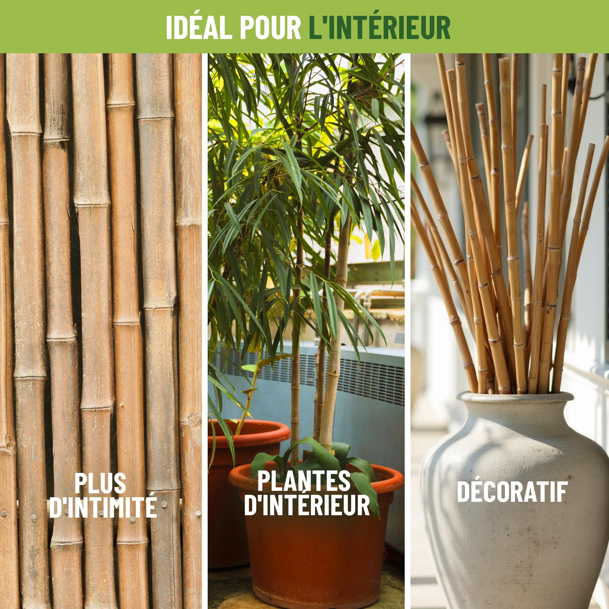 Control Garden Lot 30 Unités Tuteurs en Bambou Écologique 210 cm | Tiges Naturelles pour Plantes Ø 14-16 mm | Supports pour Arbres, Potagers, Plantes Grimpantes et Cultures