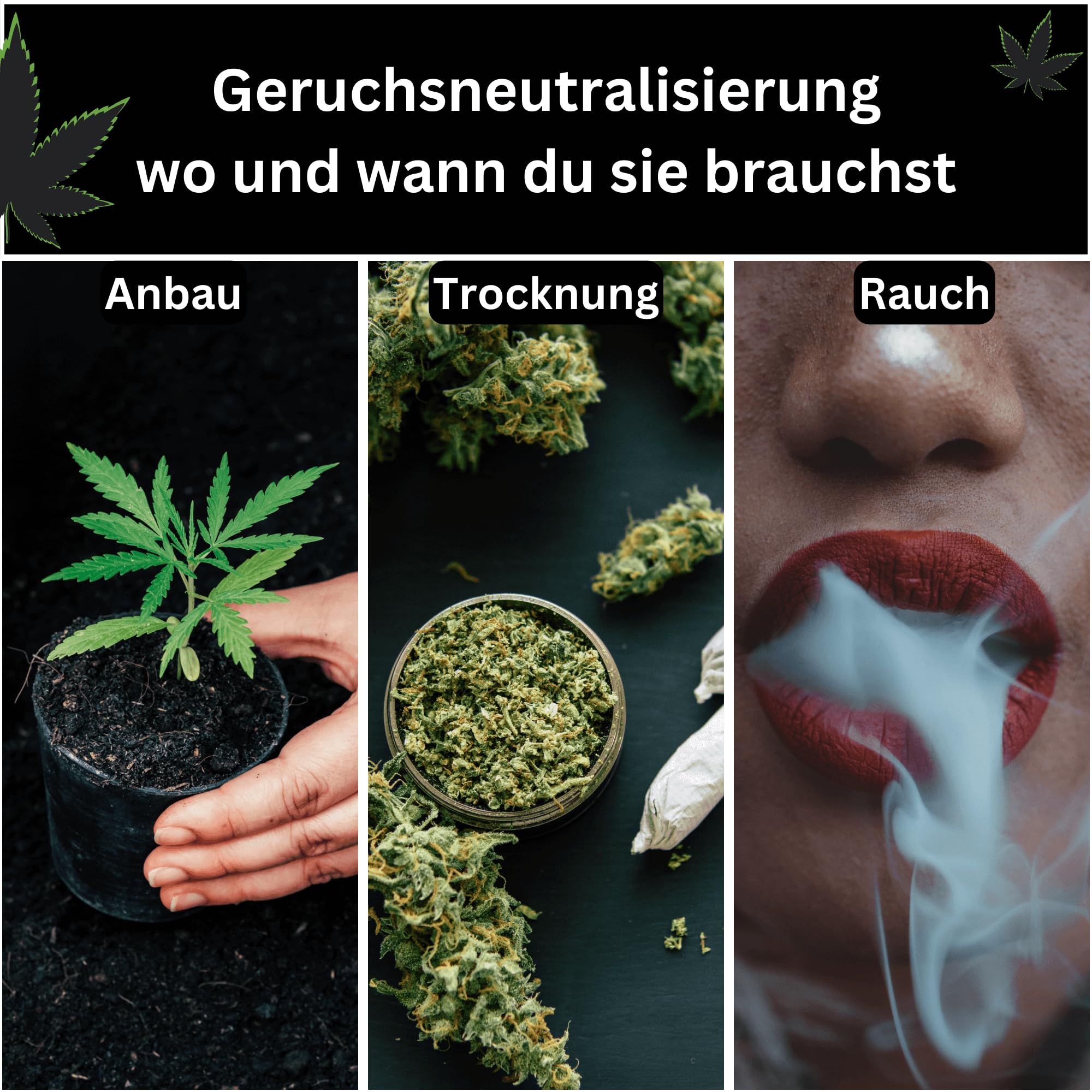 sind cannabis vapes geruchsfrei Happy Hemp H3 & H4 Ultra Vape
