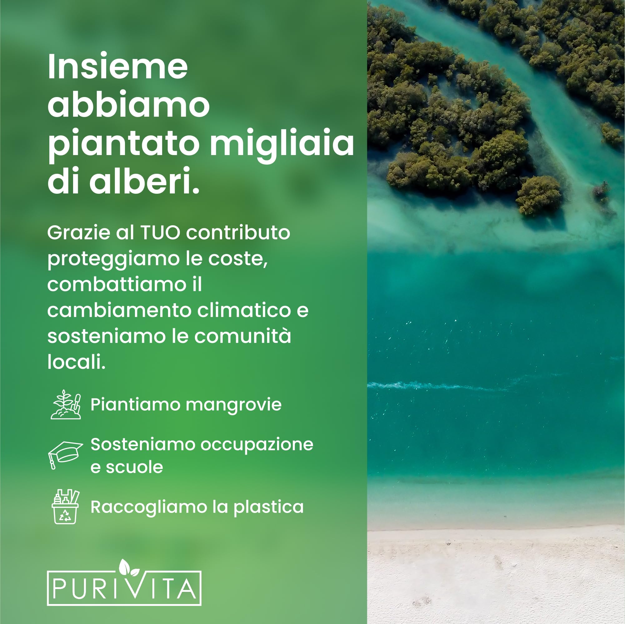 PURIVITA® Universale Decalcificante Macchina Caffè [500ML] - Anticalcare Pulizia Macchine Caffe - Liquido Disincrostante per i Modelli Delonghi, Nespresso, Dolce Gusto, Lazzata & Altri Ancora