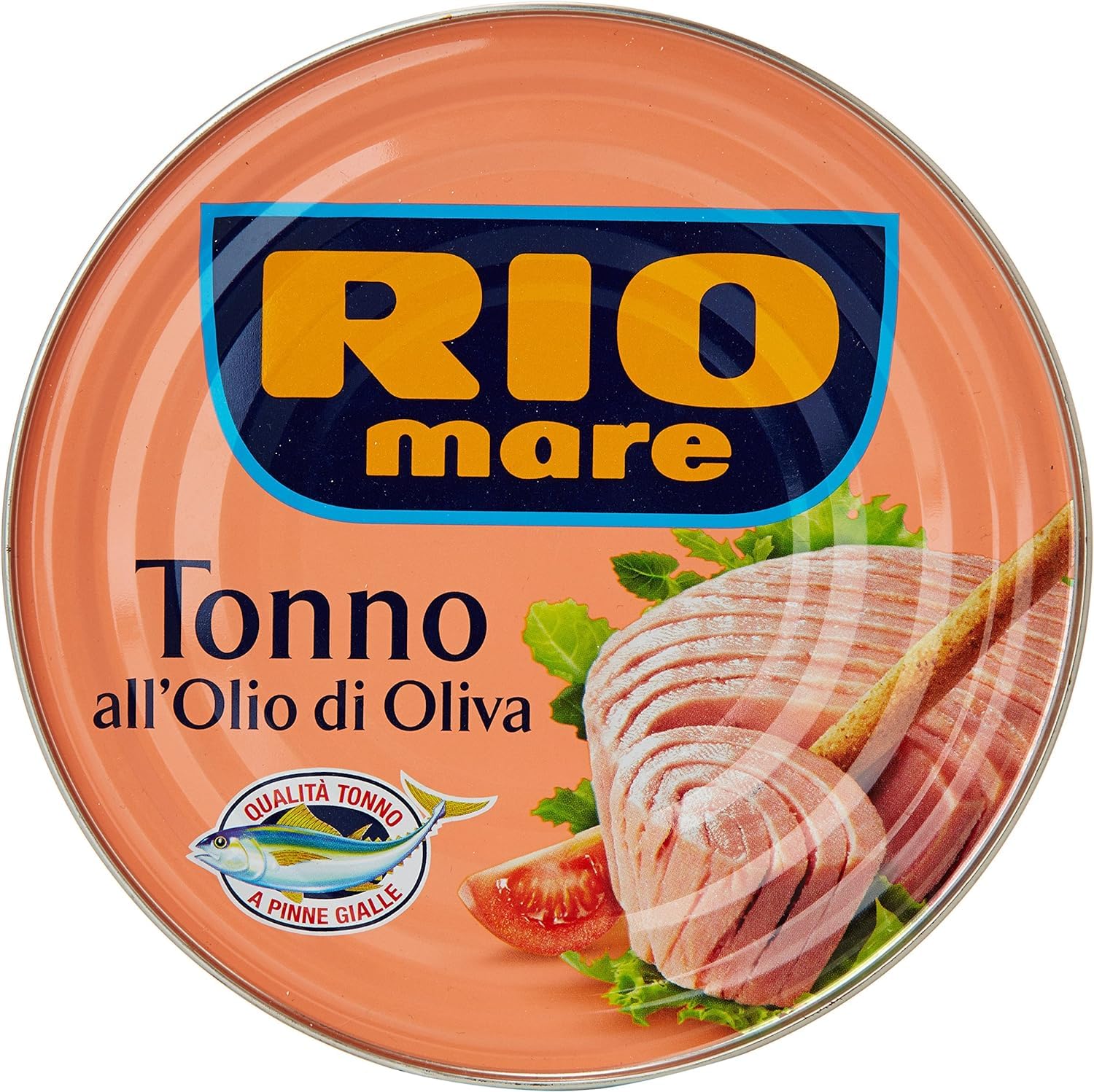 Italian Gourmet Tonno all'Olio di Oliva Thunfisch Konserve zart 3 x 500g | Tranci compatti, reichhaltiger Geschmack, pronti per insalate, pasta fredda, Gesamtnettogewicht 1,5 kg + Kostenlos Polpa 400g