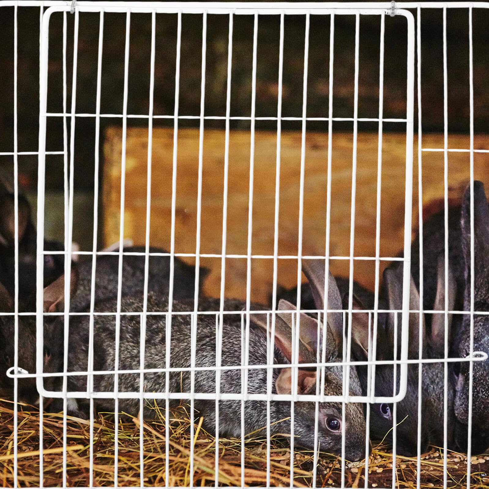 Ciieeo Porte de Cage Multifonctionnelle pour Animaux de Compagnie à Monter Soi-Même 35X35 CM en Fil de Fer Blanc Adaptée pour Chiens Chats Lapins et Petits Animaux pour Enclos et
