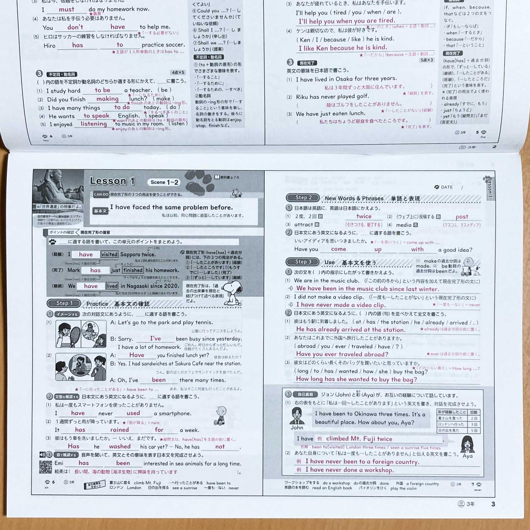 英語のワーク答え Amazon.co.jp: 2025年度版「エンジョイワーク 英語3 三省堂 ニュー