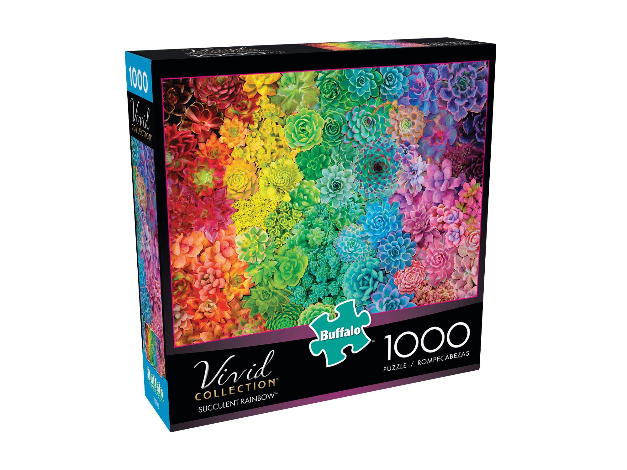 Regenbogen Sukkulenten Puzzle – 1000 Teile Für Erwachsene, Farbenfroh & Entspannend